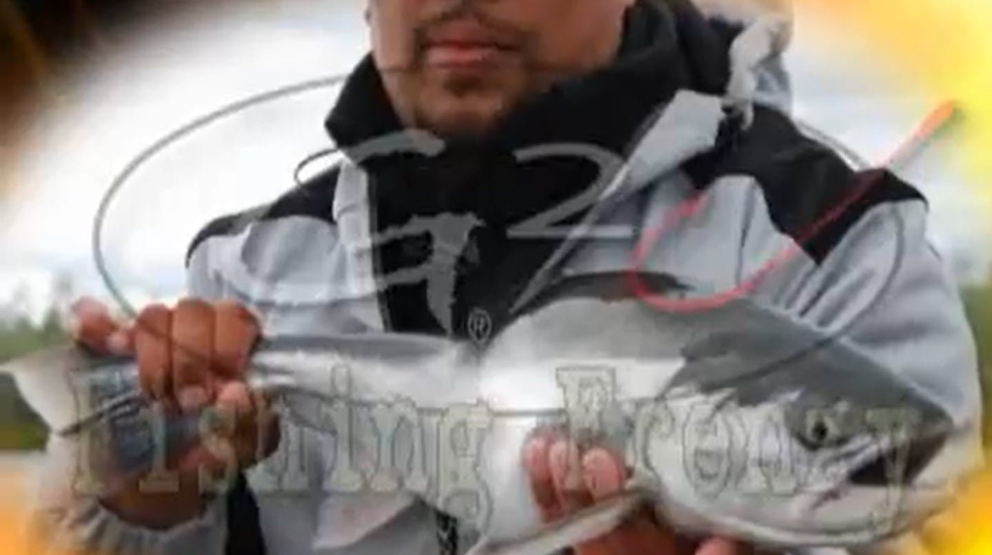 video-section-banner-image